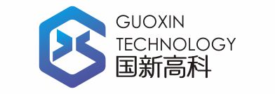 武汉国新高科